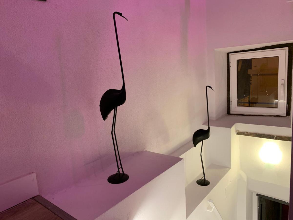 Casita Del Flamingo En Casco Historico Villa อาลิกันเต ภายนอก รูปภาพ